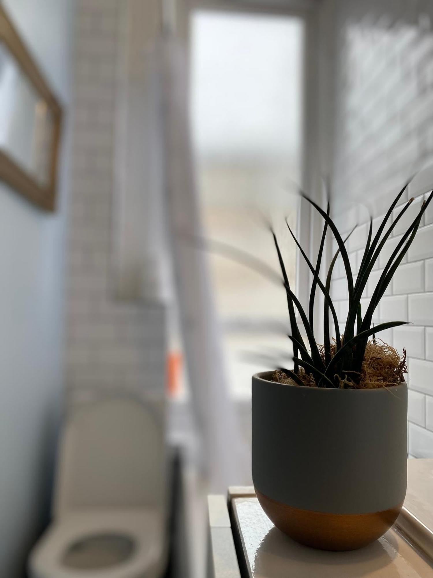Charming 1 Bedroom Edinburgh Apartment ภายนอก รูปภาพ